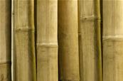 Papier peint bambou naturel luxe Bambu