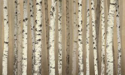 Papier peint arbres panoramique bouleaux Bereza