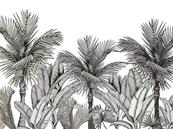 Papier peint adhésif palmier et feuillage Esquisse