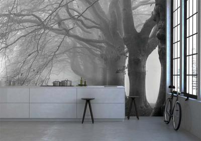 Papier peint panoramique arbres gris et blancs Alice