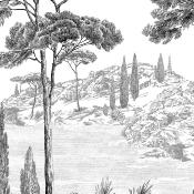 Papier peint paysage panoramique noir et blanc Péninsule