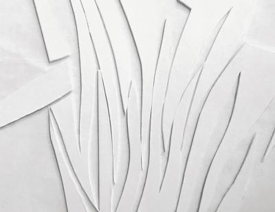 Papier peint feuillage 3D blanc trompe l'œil Poseidonia