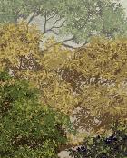 Papier peint arbres panoramique vert et ocre Monteverde Automne