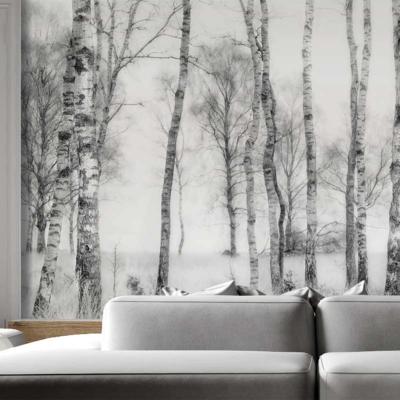Papier peint panoramique noir et blanc Forêt de bouleaux