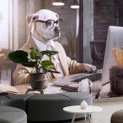 Papier peint panoramique chien en costume et ordinateur Mediator