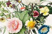 Papier peint floral préencollé Lux Nostalgia