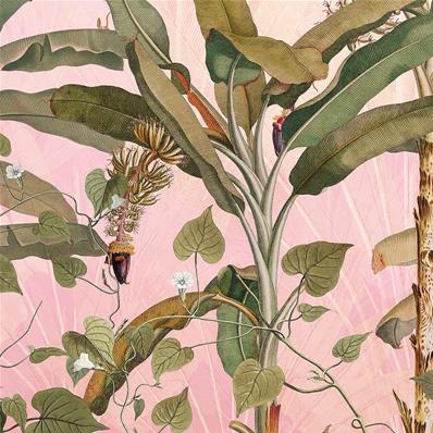 Papier peint jungle rose Plantation 350x270