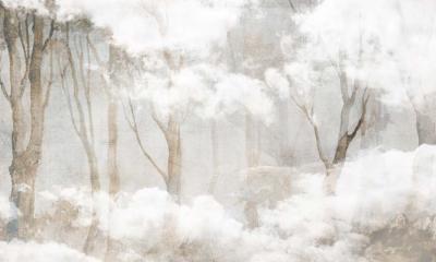Papier peint arbres panoramique dans la brume The Sky