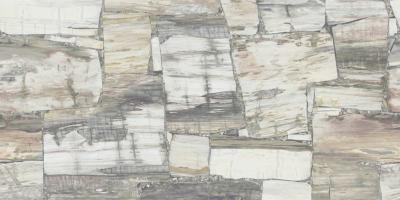 Papier peint imitation bois pétrifié panoramique Timber