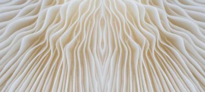 Papier peint effet 3D vagues beige et blanc Entropya Wave