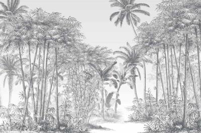 Papier peint tropical noir et blanc Manaus