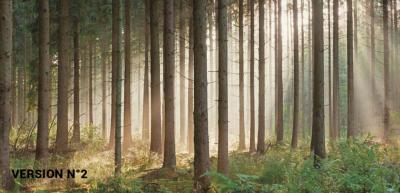 Papier peint panoramique Forêt des Vosges SUR-MESURE