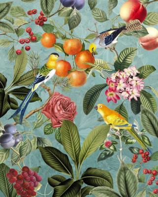 Papier peint exotique multicolore pour petit mur Birds and Berries 200x250 