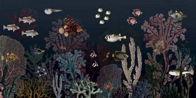 Papier peint fond marin panoramique Récif Corallien Bleu