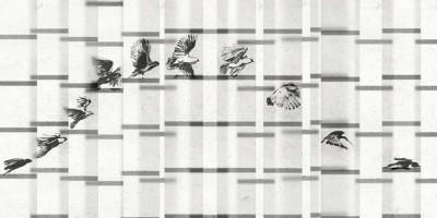 Papier peint oiseaux noir et blanc panoramique Tobu
