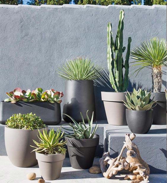 Plantes en pots pour dcorer une terrasse